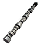 Magnum 224/224 Solid Roller Cam for Chevrolet Small Block