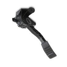 Load image into Gallery viewer, 145-212_02.jpg
