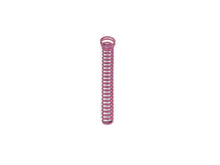 Load image into Gallery viewer, 22-190 1 Oil Pump Springs.jpg