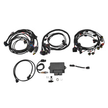 Load image into Gallery viewer, 036120_v1.jpg