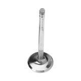 Engine Exhaust Valve