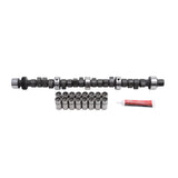 Engine Camshaft and Lifter Kit