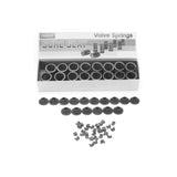 Engine Valve Spring Kit