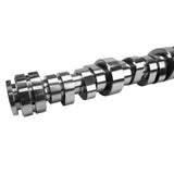 Godzilla Stage 3 Hydraulic Roller