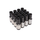 Stud Girdle Adjusting Nut Set of 12 for 3/8