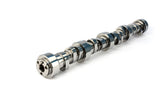 Big Mutha' Thumpr 235/249 Hydraulic Roller Cam for GM LS GEN III/IV