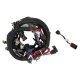 LS2/3/7+ (58x/4x) Engine Main Harness for HP EFI & Dominator EFI