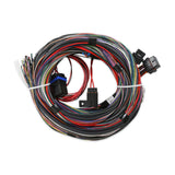 Unterminated Universal Main Harness for HP EFI & Dominator EFI