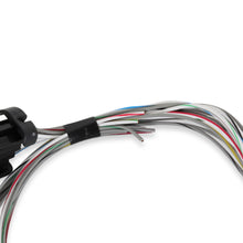 Load image into Gallery viewer, 558-462_04.jpg