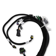 Load image into Gallery viewer, 558-513_03.jpg