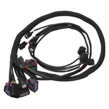 Load image into Gallery viewer, 036120_v4.jpg