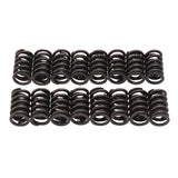 Engine Valve Spring Kit