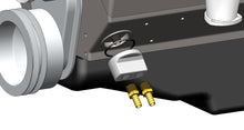 Load image into Gallery viewer, 15748-Illustration.jpg