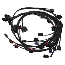 Load image into Gallery viewer, 036160_v2.jpg