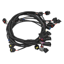 Load image into Gallery viewer, 036140_v2.jpg