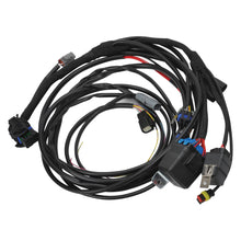 Load image into Gallery viewer, 036110_v3.jpg