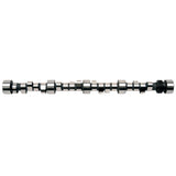 Engine Camshaft