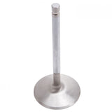 Engine Intake Valve