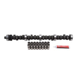 Engine Camshaft and Lifter Kit