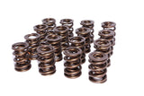 Engine Valve Spring Kit
