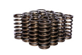 Engine Valve Spring Kit