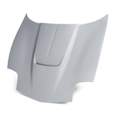 Type-TM fiberglass hood for 1997-2004 Chevrolet Corvette C5