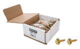 Body Bolt 1-1/8in 50pk Gold