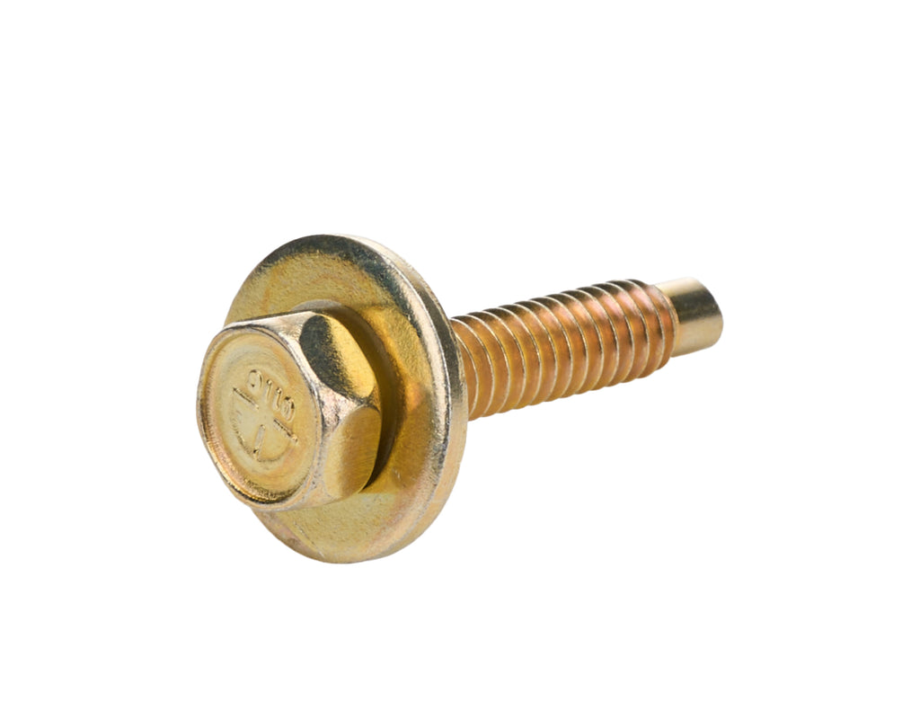 ALL16554.jpg