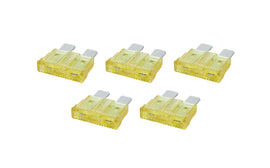 ALL76367.jpg