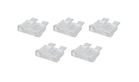ALL76368.jpg