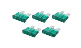 ALL76369.jpg