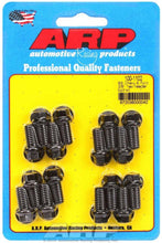 Load image into Gallery viewer, ARP100-1102.jpg