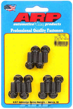 Load image into Gallery viewer, ARP100-1103.jpg