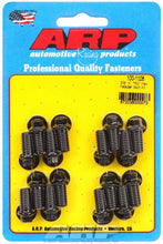 Load image into Gallery viewer, ARP100-1108.jpg