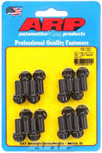 Load image into Gallery viewer, ARP100-1202.jpg