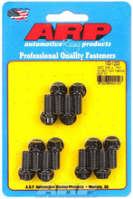 Load image into Gallery viewer, ARP100-1203.jpg