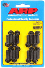 Load image into Gallery viewer, ARP100-1210.jpg