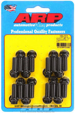 Load image into Gallery viewer, ARP100-1212.jpg