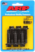 Load image into Gallery viewer, ARP134-2202.jpg