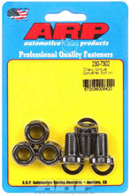 Load image into Gallery viewer, ARP230-7302.jpg
