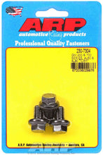 Load image into Gallery viewer, ARP230-7304.jpg
