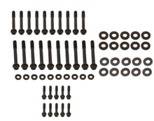 Load image into Gallery viewer, ARP234-3725.jpg