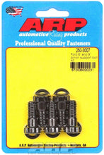 Load image into Gallery viewer, ARP250-3007.jpg