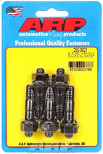 Load image into Gallery viewer, ARP250-3021.jpg