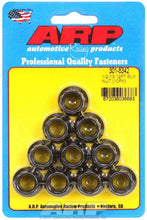 Load image into Gallery viewer, ARP301-8342.jpg