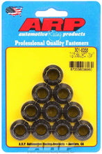 Load image into Gallery viewer, ARP301-8356.jpg