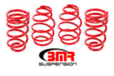 Suspension Struts / Shock Absorbers / Coil Springs / Camber Plate Kit