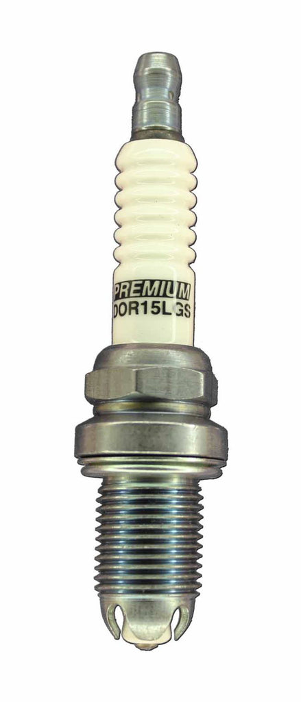 BSKDOR15LGS.jpg