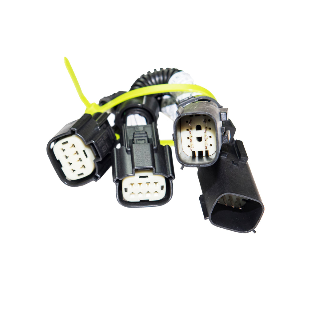 CAS-104322-1.jpg