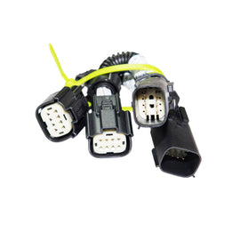 CAS-104322-1.jpg